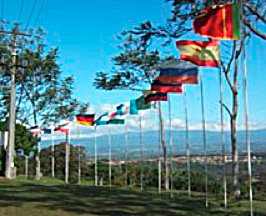 写真:大学敷地内に立てられている世界各国の旗