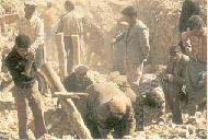 写真:被災地での復興支援作業の様子