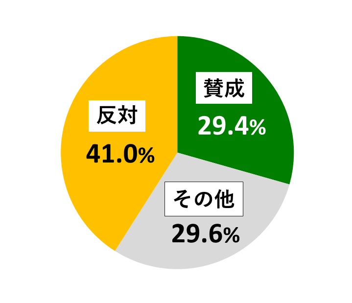 18歳意識調査結果の円グラフ:賛成が29.4%。反対が41.0%。その他が29.6%。