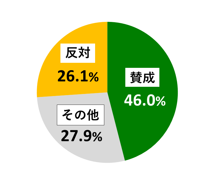 18歳意識調査結果の円グラフ:賛成が46.0%。反対が26.1%。その他が27.9%。