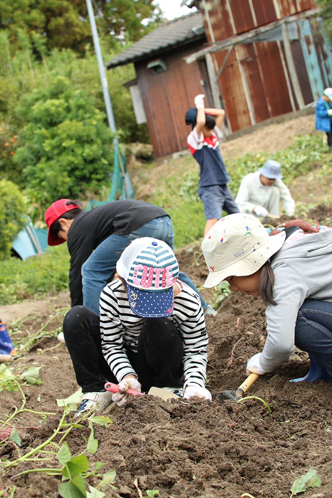 写真:農作業に夢中の子供たち