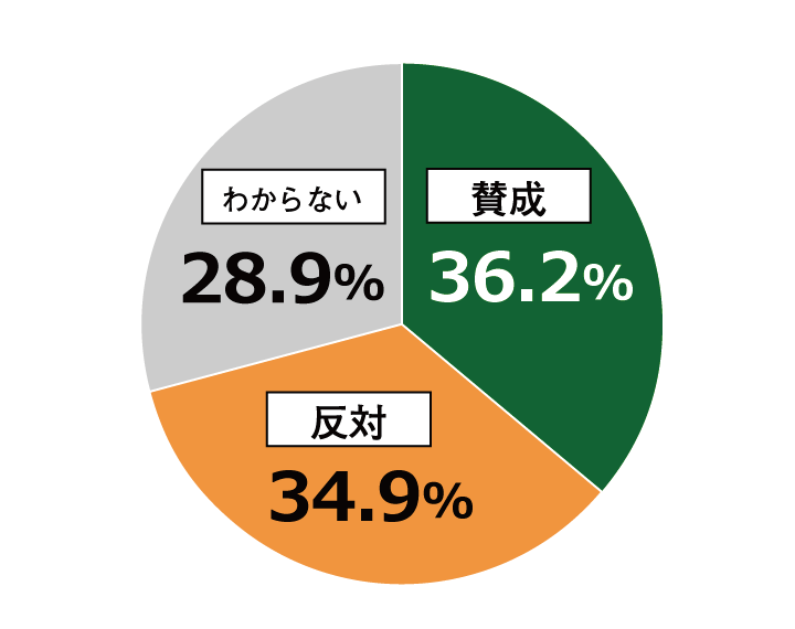 18歳意識調査結果の円グラフ:賛成36.2%。反対34.9%。わからない28.9%。