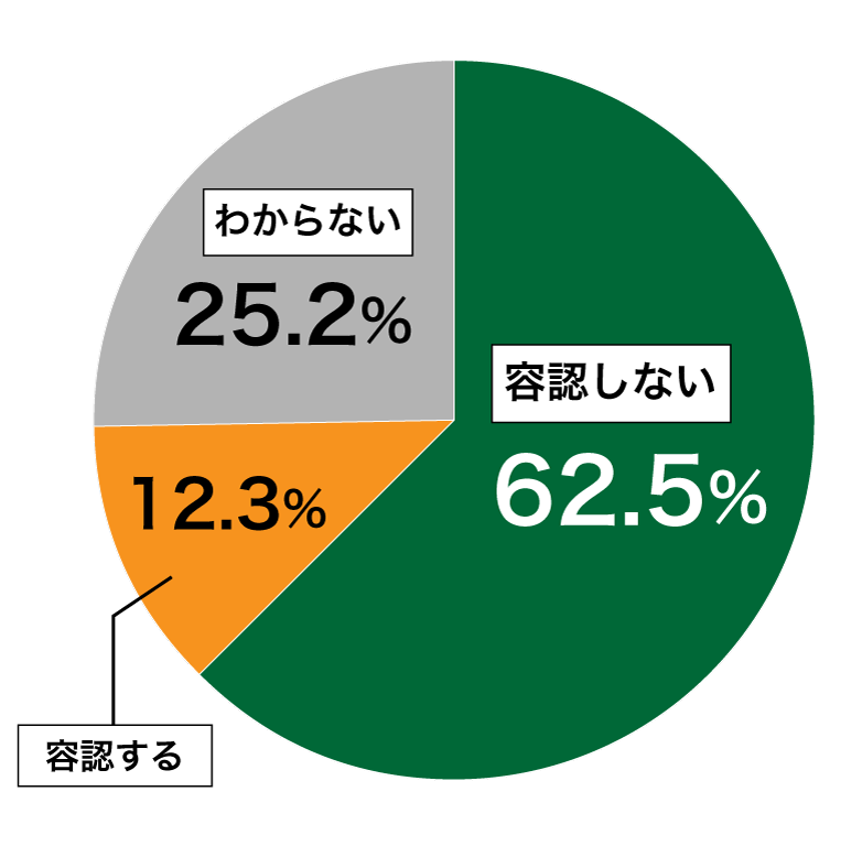 18歳意識調査結果の円グラフ:容認しない62.5%。容認する12.3%。わからない25.2%。