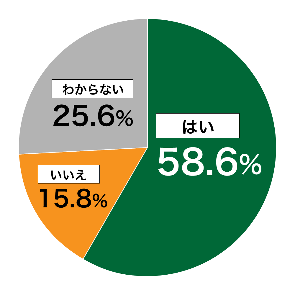 18歳意識調査結果の円グラフ:はい58.6%。いいえ15.8%。わからない25.6%。