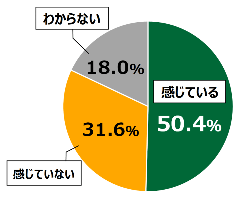 18歳意識調査結果の円グラフ:感じている50.4%。感じていない31.6%。わからない18.0%。