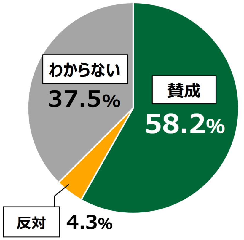 18歳意識調査結果の円グラフ:賛成58.2%。反対4.3%。わからない37.5%。