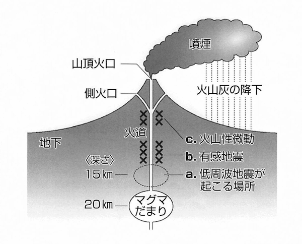 富士山噴火のメカニズム図:富士山の地下約20kmにはマグマで満された「マグマだまり」がある。噴火の前には、マグマだまり上部で「低周波地震」と呼ばれるユラユラ揺れる地震が起きる(a)。さらにマグマが上昇すると、通路(火道)の途中でガタガタ揺れるタイプの人が感じられるような「有感地震」が起きる(b)。その後、噴火が近づくと「火山性微動」という細かい揺れが発生(c)。マグマが地表に噴出する直前に起きるため、「噴火スタンバイ」状態になったことを示す。噴火のおよそ数週間から1カ月ほど前にこうした現象が起き始める。噴火すると噴煙がのぼり、広範囲にわたって火山灰を降らす。