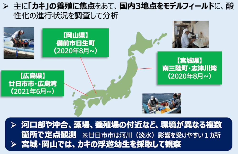 海洋酸性化プロジェクトにおける主要な定点観測地点と調査内容を示す図:
主に「カキ」の養殖に焦点をあて、国内3地点をモデルフィールドに、酸性化の進行状況を調査して分析
・【岡山県】備前市日生町(2020年8月〜)
・【宮城県】南三陸町・志津川湾(2020年8月〜)
・【広島県】廿日市市・広島湾(2021年6月〜)
▶︎河口部や沖合、藻場、養殖場の付近など、環境が異なる複数箇所で定点観測
※廿日市市は河川(淡水)影響を受けやすい1カ所
▶︎宮城・岡山では、カキの浮遊幼生を採取して観察