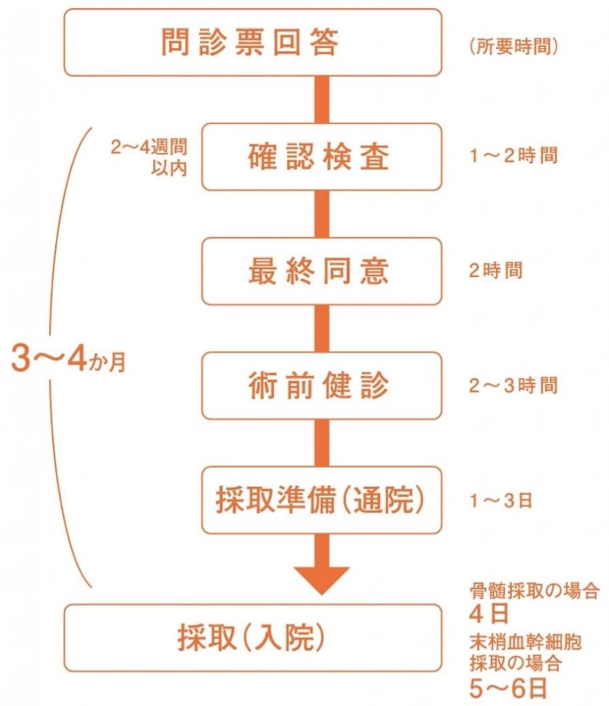 提供までの所要時間を示した図。

問診票回答
確認調査（所要時間 1〜2時間）
最終同意（所要時間 2時間）
術前検診（所要時間 2〜3時間）
採取準備（通院）（所要時間 1〜3日）
採取（入院）（所要時間 骨髄接種の場合4日、末梢血幹細胞採取の場合5〜6日）

合計 3〜4カ月