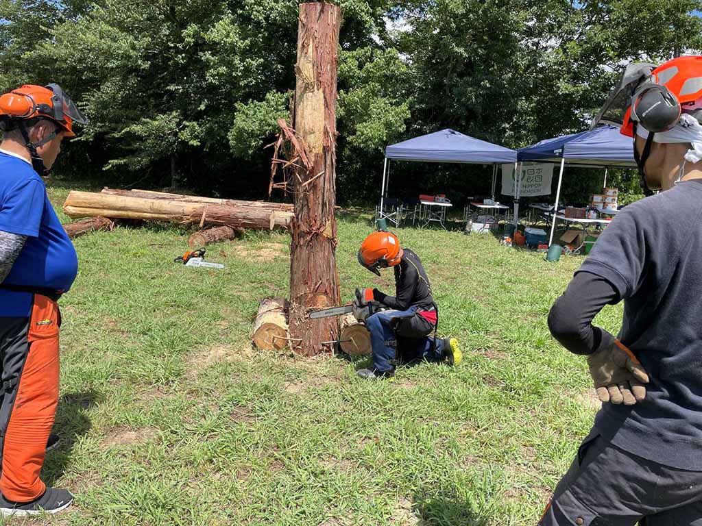 チェーンソー特別教育訓練の様子