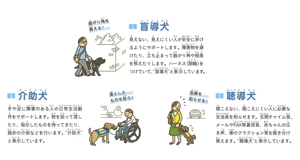 1.盲導犬
見えない、見えにくい人が安全に歩けるようにサポートします。 障害物を避けたり、立ち止まって曲がり角や段差を教えたりします。 ハーネス（胴輪）をつけていて、“盲導犬”と表示しています。

2.介助犬
手や足に障害のある人の日常生活動作をサポートします。 物を拾って渡したり、指示したものを持ってきたり、脱衣の介助などを行います。 "介助犬”と表示しています。

3.聴導犬
聞こえない、聞こえにくい人に必要な生活音を知らせます。 玄関チャイム音、メールやFAX等着信、赤ちゃんの泣き声、車のクラクション等を聞き分け教えます。“聴導犬”と表示しています。