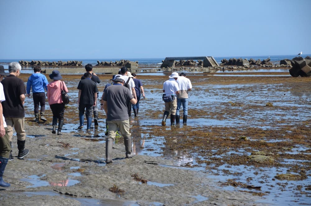 海岸を歩く人々