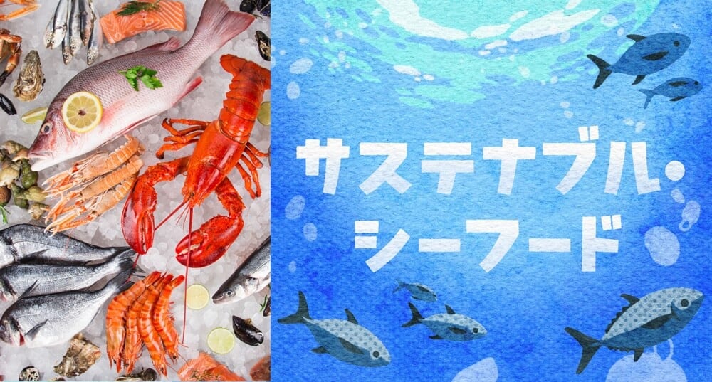 魚介類の写真と海と魚のイラスト