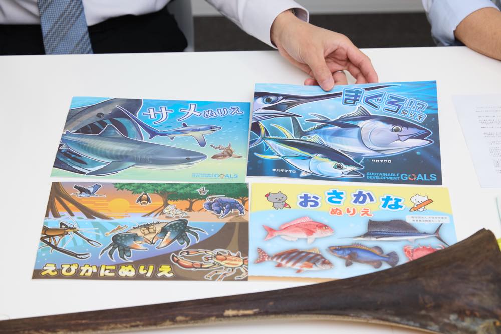 魚食普及推進センターが提供する、塗り絵形式の学習教材が4冊並べられている。『サメぬりえ』『まぐろ！？ぬりえ』『えびかにぬりえ』『おさかなぬりえ』の4種類で、生き物の生態や漁業、海洋問題について学べる。