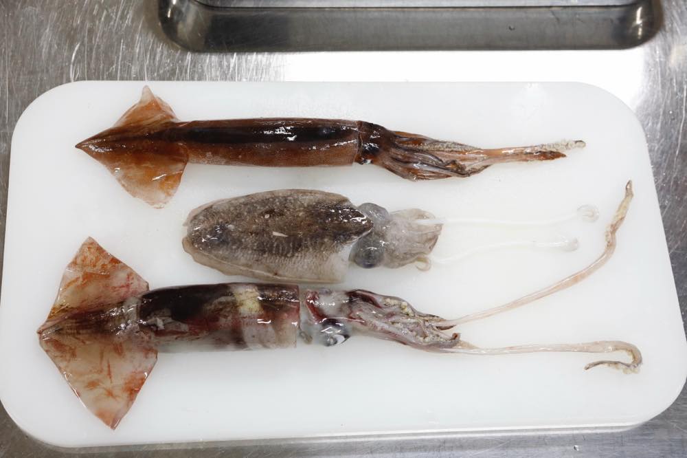 石川県のスルメイカ、鹿児島県のコウイカ、沖縄県のトビイカがまな板に上から順番に置かれている