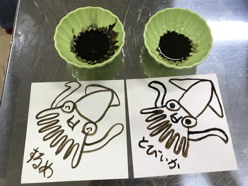 イカの墨で描いたイカの絵が2枚並んでいる。左はスルメイカで右はトビイカ。