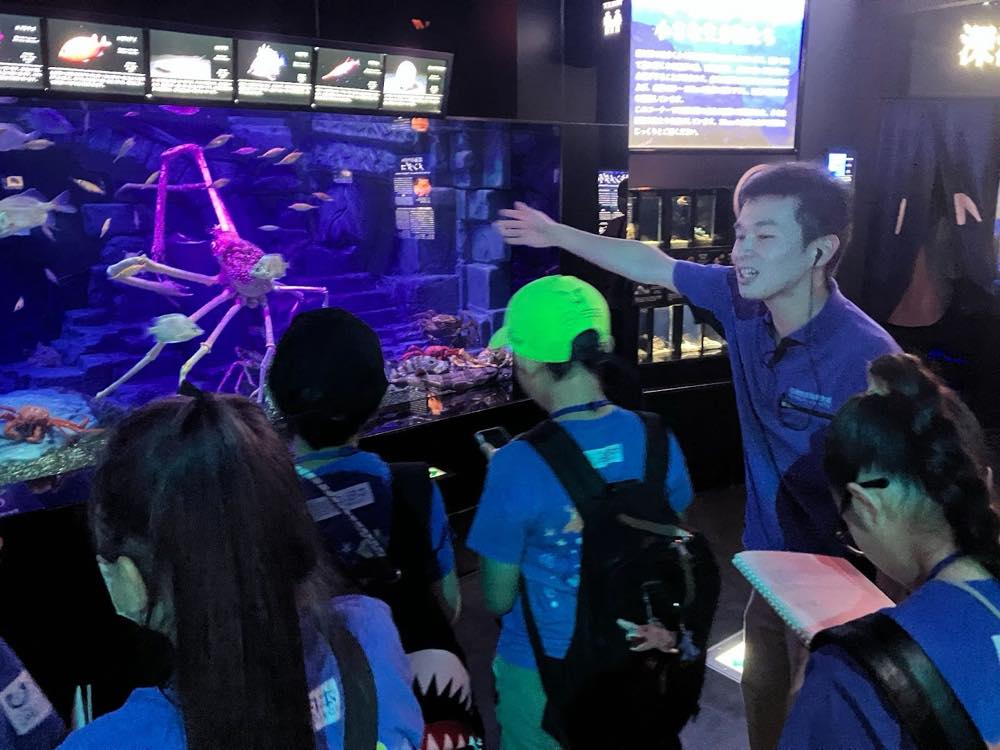 児童が水族館のバックヤードを見学する様子