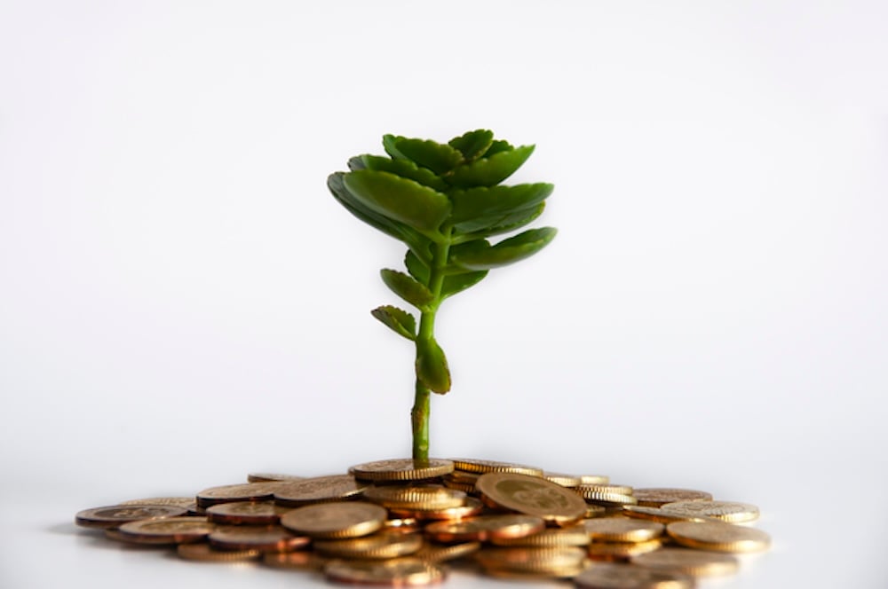 イメージ：金で育つ木