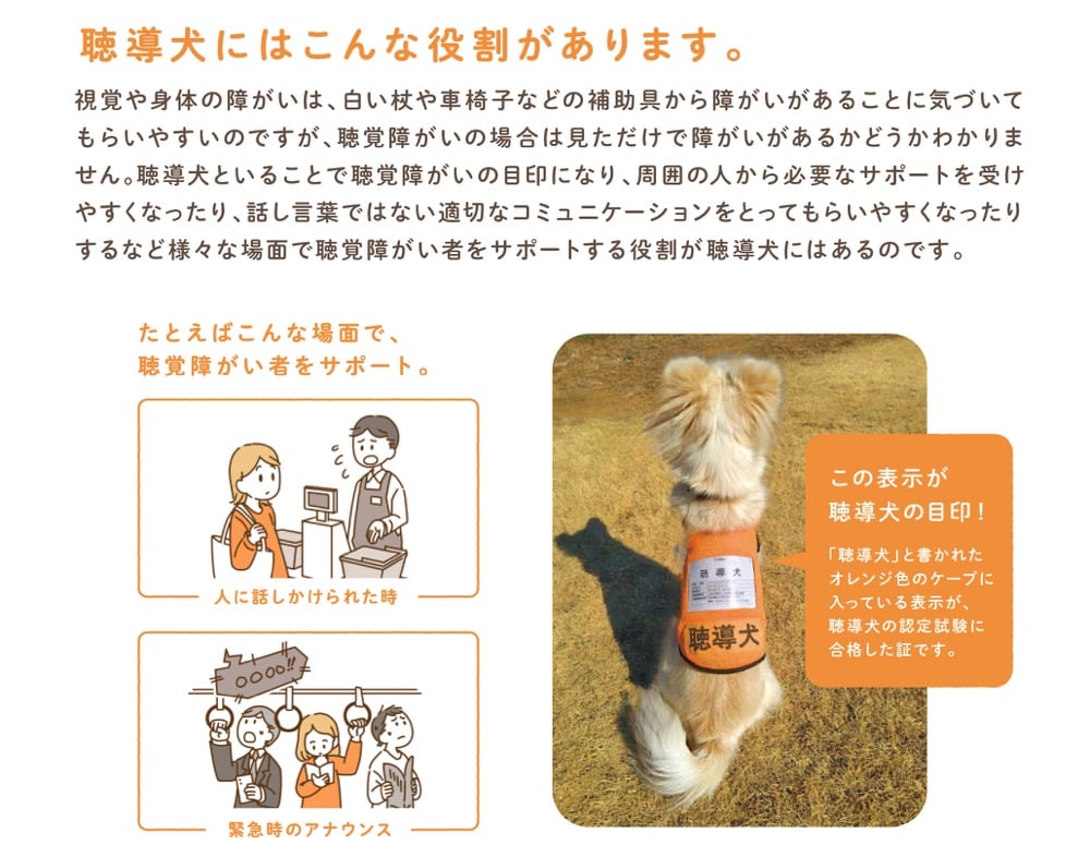 聴覚障害は外見で分かりにくいが、聴導犬と一緒にいることで周囲に障害を知らせる目印となり、適切なサポートを受けやすくなることを説明する図解。オレンジ色のケープに「聴導犬」と記された表示が認定試験合格の証であることや、人に話しかけられた時や緊急時のアナウンスなどのサポート場面が描かれている。