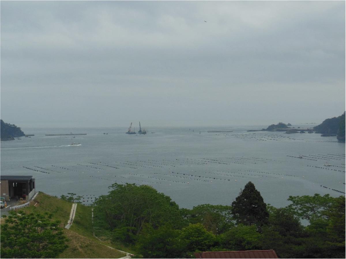 高台から眺めた曇りの日の海